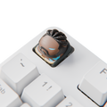 Veto